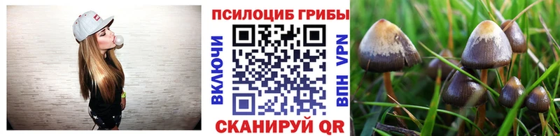 мега зеркало  Бугульма  Псилоцибиновые грибы прущие грибы 